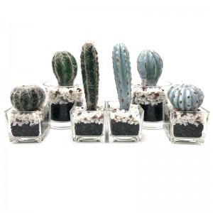 Mesterséges kaktusz dekoratív üvegcserépben faux zamatos dekorációban otthoni vagy irodai használatra