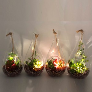 LED üveg asztali dekoratív mesterséges zamatos növények földgömbvázzal