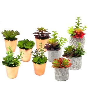 Mini mesterséges nedvdús növények pot asztali dekoratív földgömb kijelző otthoni dekorációval