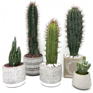 Modern mesterséges kaktusz otthoni vagy irodai dekorációs pot zamatos dekoráció